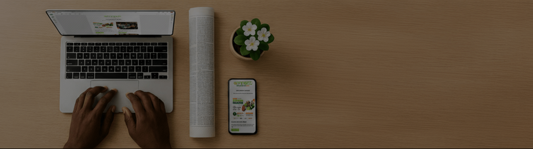 Newsletter background